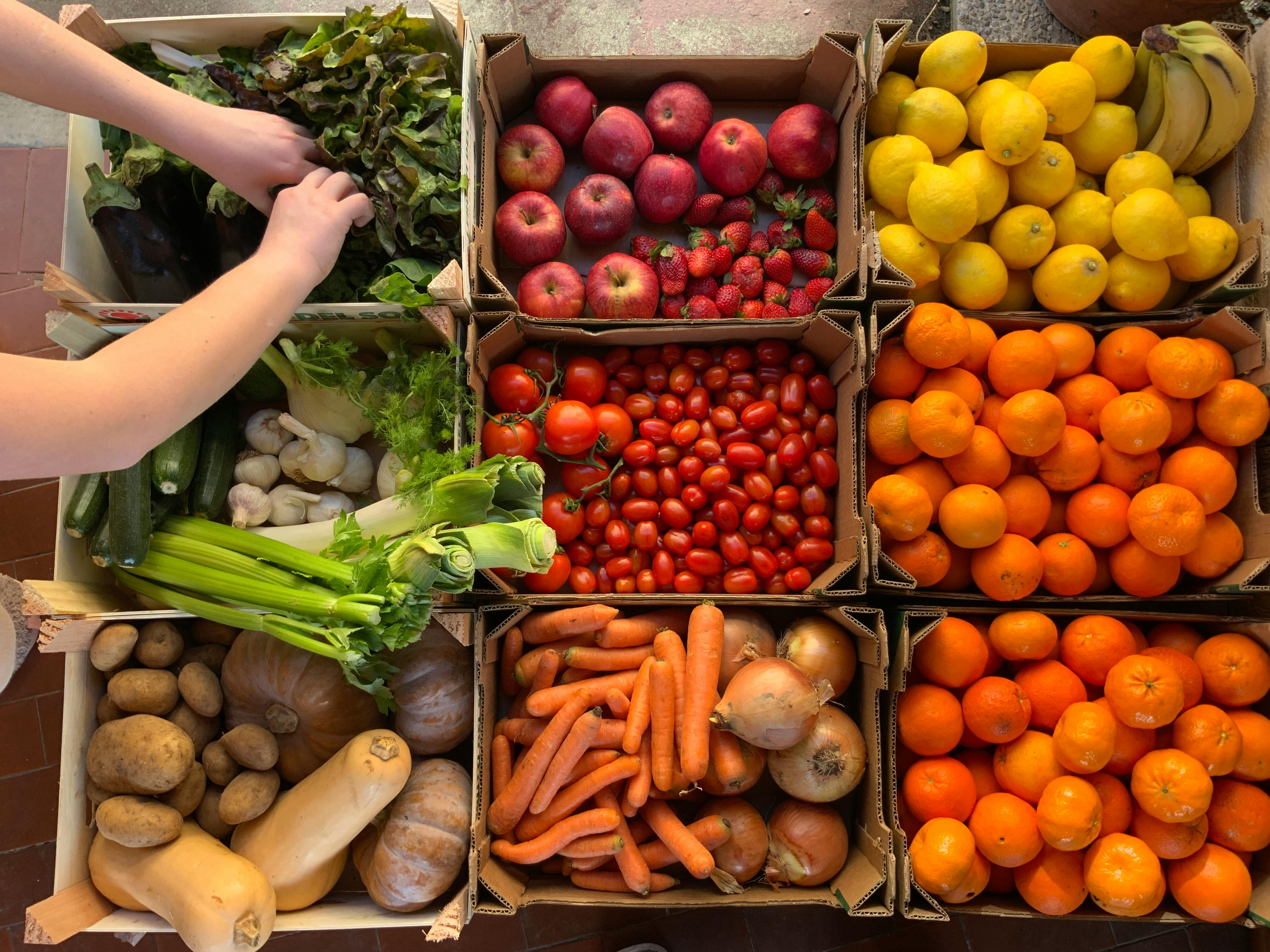 Fresh seasonal fruit and veg packs